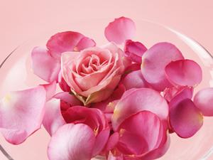 名古屋で結婚指輪を選ぶなら充実した品揃えが特徴のジュエリー店