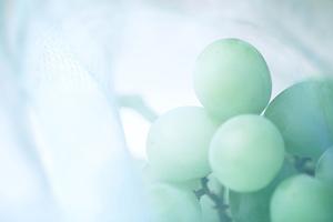 質の良い結婚指輪を買える福岡のお店