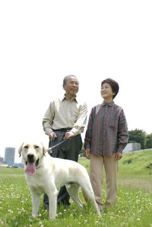 広島の結婚指輪や婚約指輪の専門店